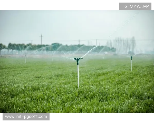 智能灌溉联动场地维护 水资源消耗量下降百分之五十 智能灌溉联动场地维护 水资源消耗量下降百分之五十